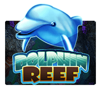 DOLPHIN REEF